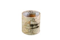 birch bark pot, cylinder