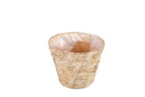 birch cachepot, round