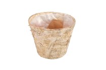 birch cachepot, round