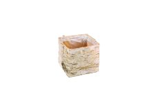 birch bark planter, cube