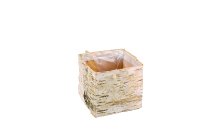 birch bark planter, cube