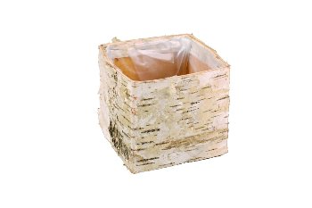 Birken-Schale, Würfel