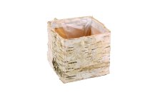 birch bark planter, cube