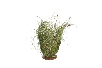 rattan hey planter