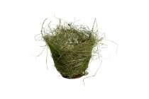 hay planter, high