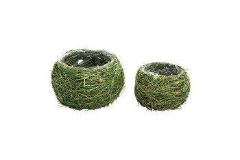 grass planter