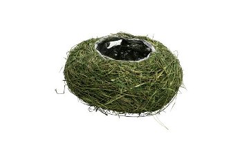 grass planter