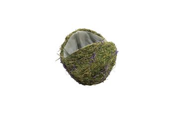 grass/lavendel planter