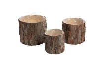 pine bark-planter