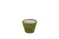moss planter,round, 6,5x7cm