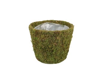 moss planter,round, 10x12,5cm
