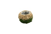 straw/moss planter