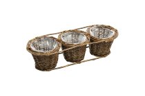willow planter