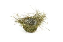 grass planter bowl, nest shape