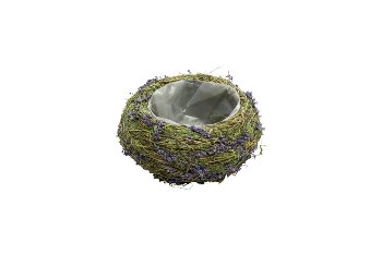 grass/lavendel planter