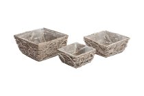 bark/vine planter