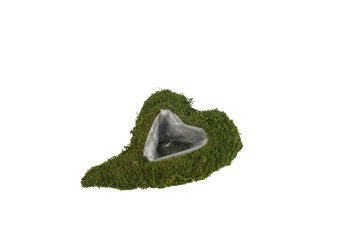 moss heart planter