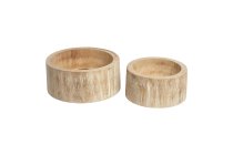 paulownia bucket