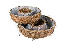 Reben-Pflanzring mit Folie