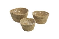 seagrss planters