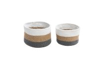 cotton/jute planter
