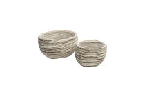 woodchip planters