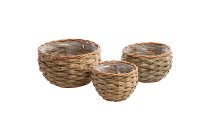 grass/willow planter
