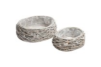 vine planter