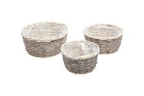 splitwillow planter