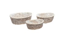splitwillow planter
