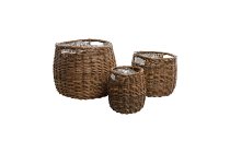 willow planter