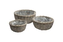 split willow planter