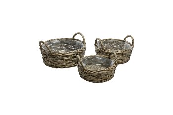 willow planter