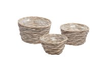 willow planter