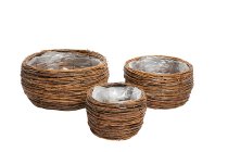 willow planter, unpeeled