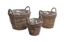 willow twig-planter