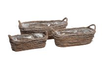 willow twig-planter