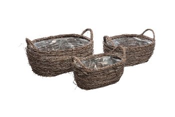 elm tree planter