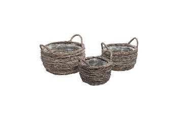 elm tree planter