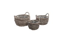 elm tree planter