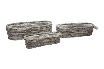 elm tree planter