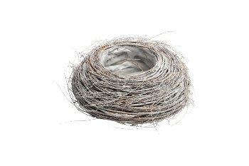 elm twig planter