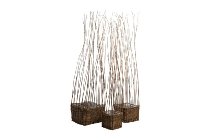 willow planters, square