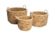 water hyacinth bucket