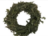 eucalyptus-wreath