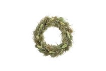 teasel wreath w phalaris