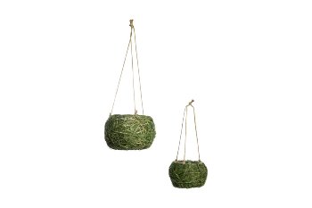 grass hanging planter