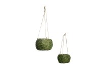 grass hanging planter