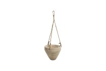 paulownia hanging planter