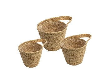 seagrss planters